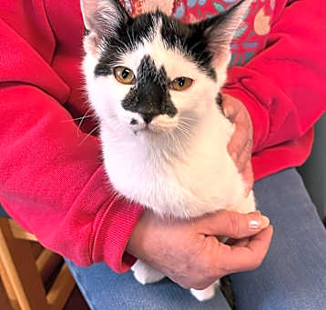 Photo of LULU