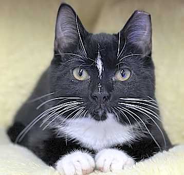 Photo of Susan