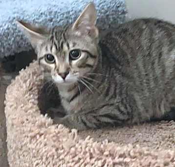 Photo of Vinny