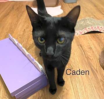 Photo of Caden
