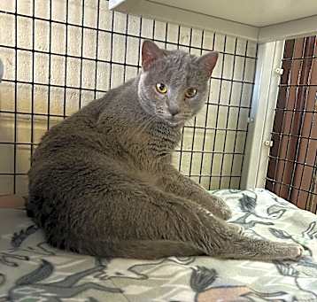 Photo of Libby