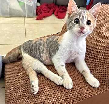 Photo of LUCY