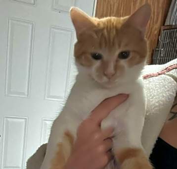 Photo of Baxter