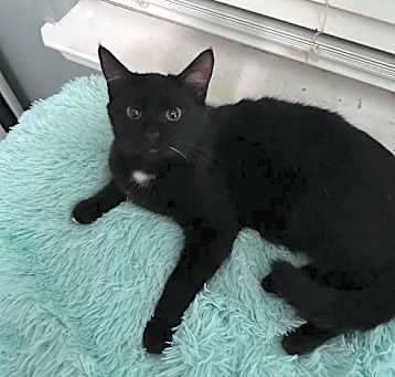 Photo of Jinx