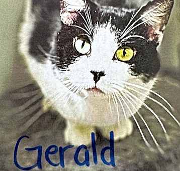 Photo of Gerald