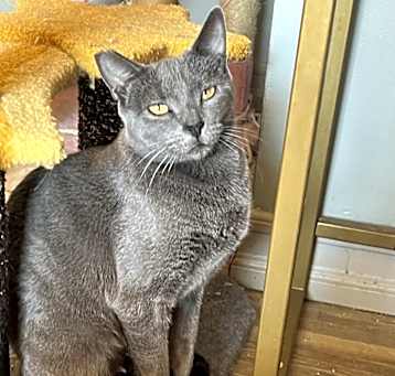 Photo of Denny
