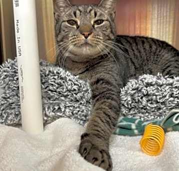 Photo of Jasper