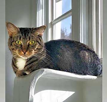 Photo of Winnie