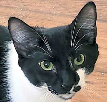Photo of JJ