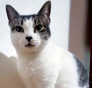 Photo of Giselle