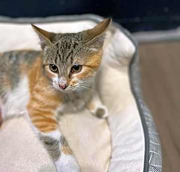 Photo of Kiara