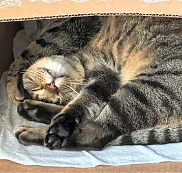 Photo of oliver L.