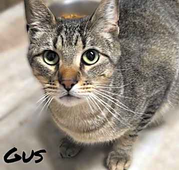 Photo of GUS