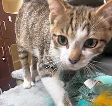Photo of Littlespot
