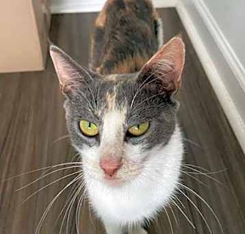 Photo of Wilma