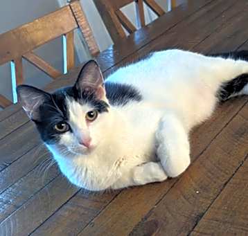 Photo of Mason