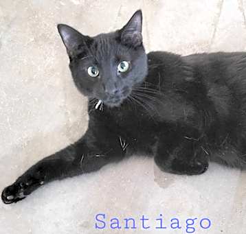 Photo of Santiago