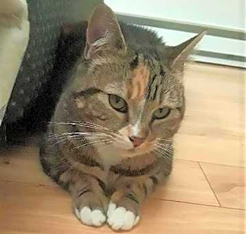 Photo of Lily
