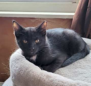 Photo of Georgie