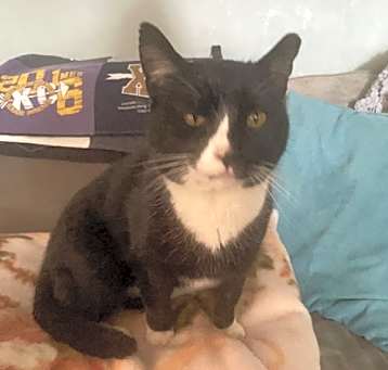 Photo of Spike