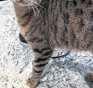 Photo of Twix