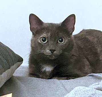 Photo of Wile E. (in Foster)
