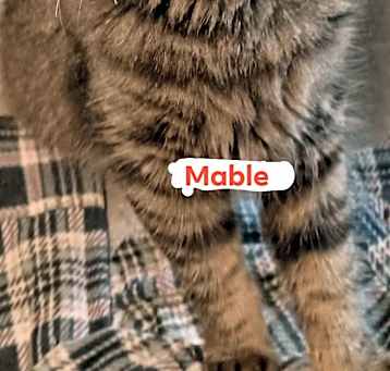 Photo of Mable