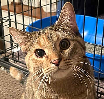 Photo of Leia24