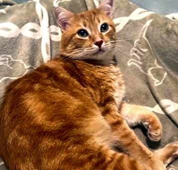 Photo of MURPHY