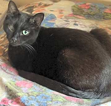 Photo of Elvira