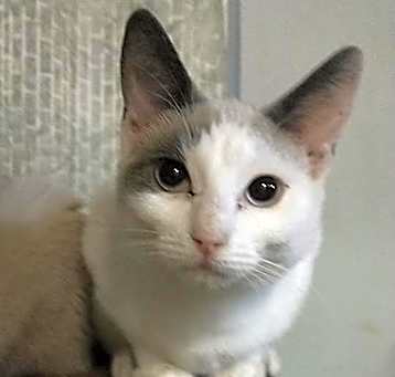 Photo of Hilke (aka Jackie)