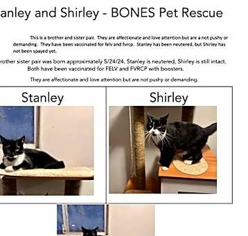 Photo of Shirley + Stanley