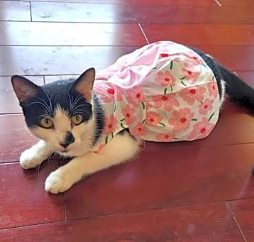 Photo of Mirabel