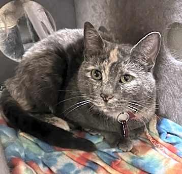 Photo of Cindy