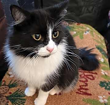 Photo of Lee-Lee