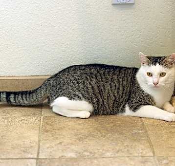 Photo of Hazel