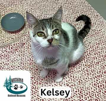 Photo of Kelsey - Loves Head Pats!