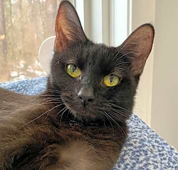 Photo of Salsa