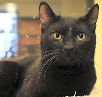 Photo of Timothy