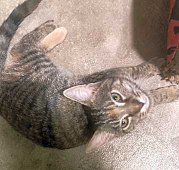 Photo of Lucy Ricardo