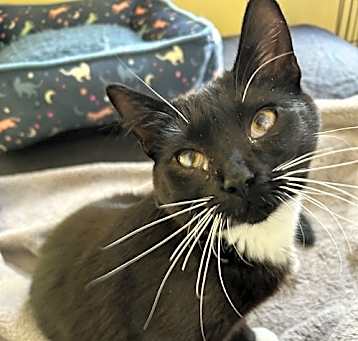 Photo of Lola
