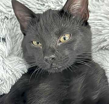 Photo of Coal