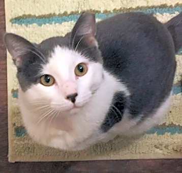 Photo of Tom Tom