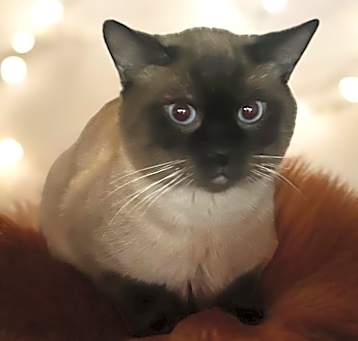 Photo of Tim