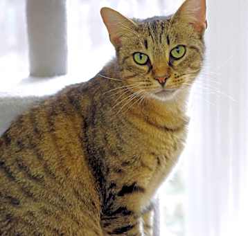 Photo of Sterling
