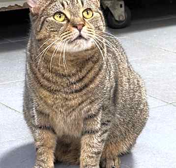 Photo of Hunter