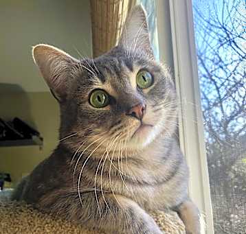 Photo of Charles