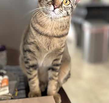 Photo of Freya
