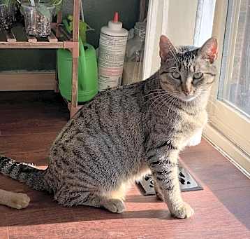 Photo of Bonnibel