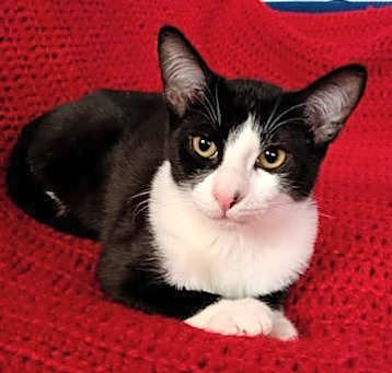 Photo of MISO